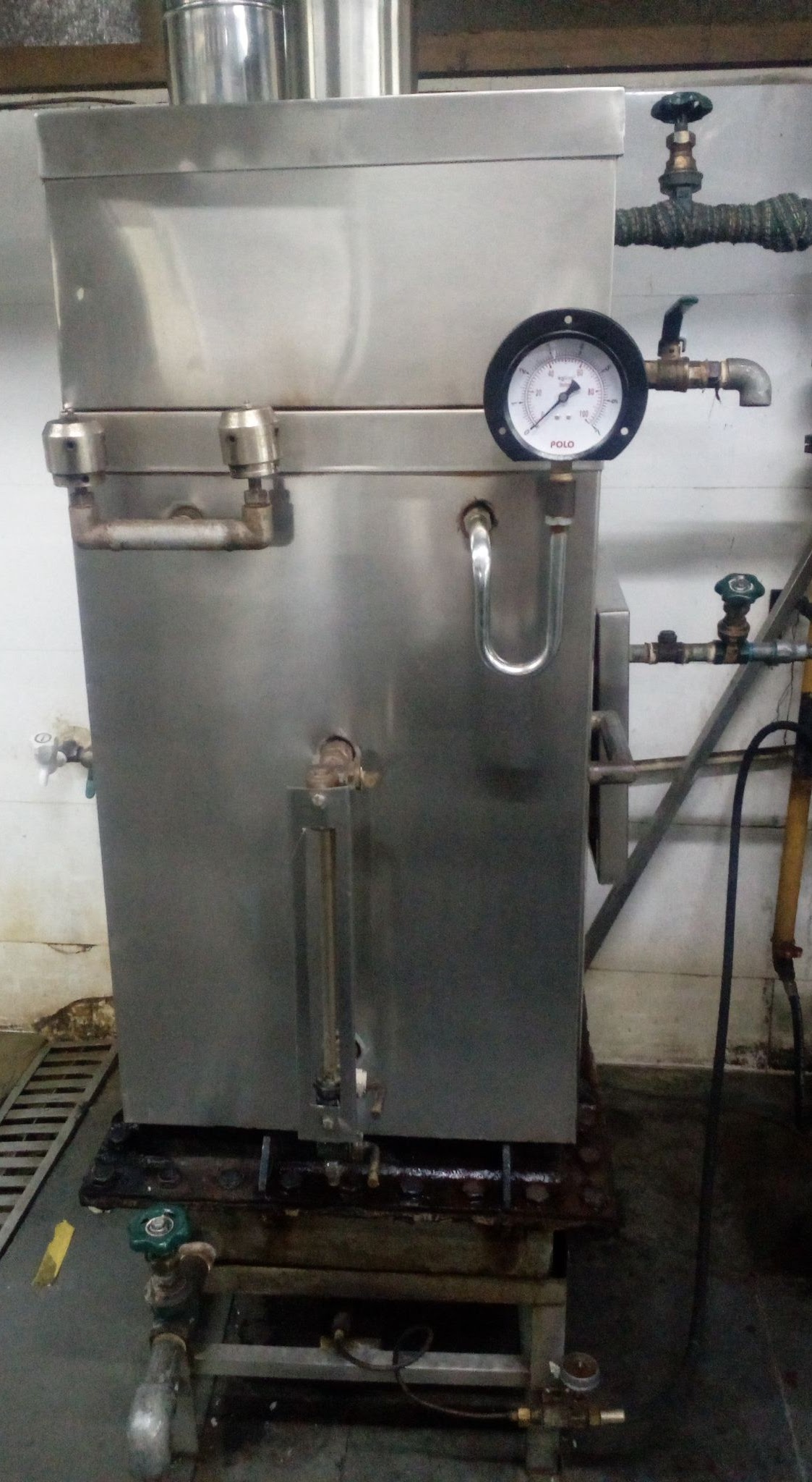SS STEAM BOILER LPG OPRATED